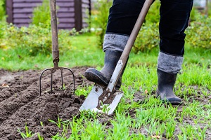 Travaux au jardin et semis à réaliser en mai en Belgique et en France